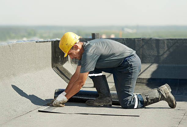 Best Specialized Insulation Services in , AK